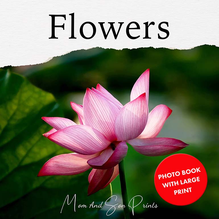 Flowers - Large Photo Book