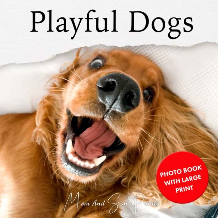 Playful Dogs - Large Print Book