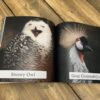 senior-gift-ideas-dementia-birds-book-03